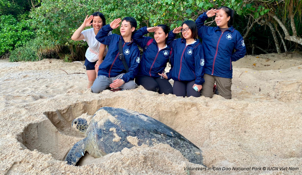 Team and volunteers patrolling a nesting beach